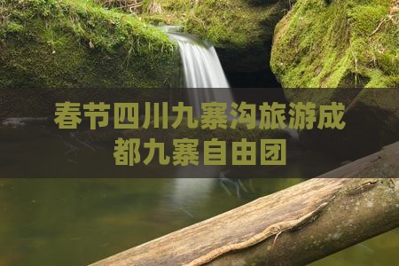 春节去四川九寨沟自由团