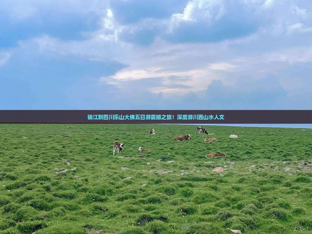 镇江到四川乐山大佛五日游