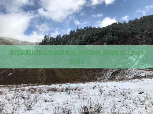 枣庄到四川乐山大佛哪里玩