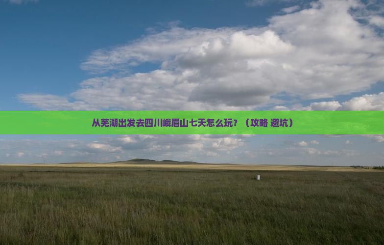 芜湖去四川峨眉山七日游