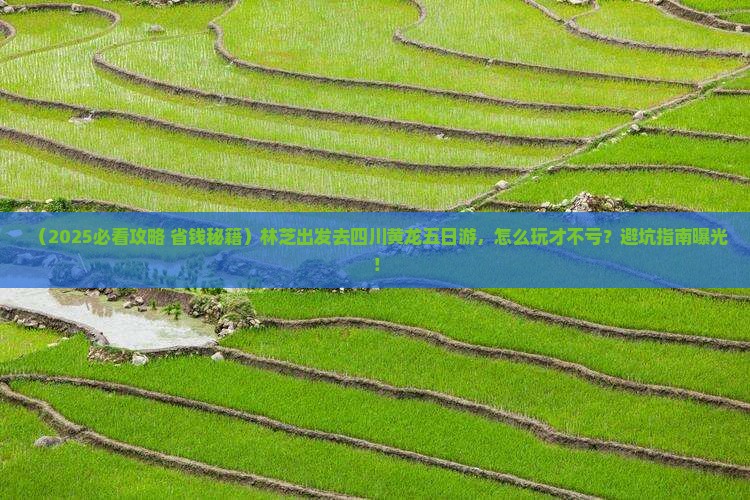 林芝去四川黄龙五日游