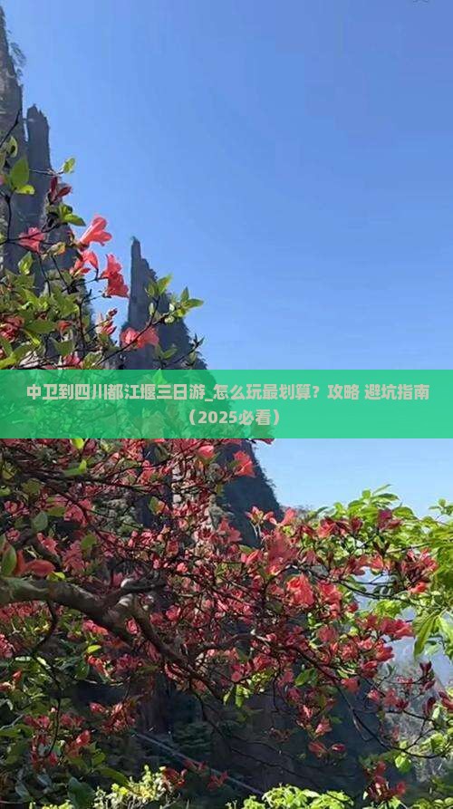 中卫到四川都江堰三日游