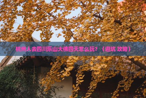 杭州去四川乐山大佛四日游