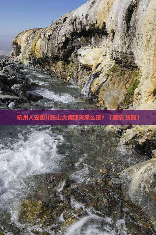 杭州去四川乐山大佛四日游