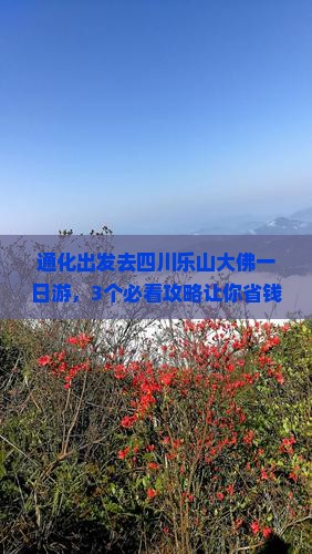 通化去四川乐山大佛一日