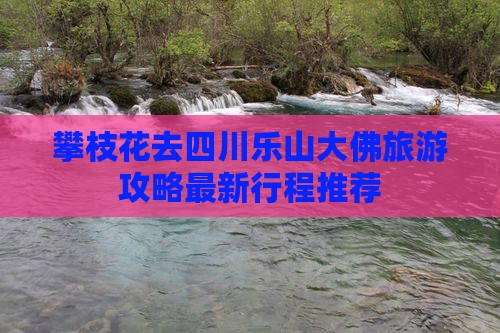 攀枝花去四川乐山大佛旅游
