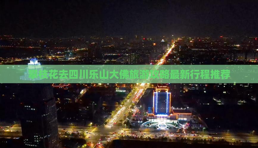 攀枝花去四川乐山大佛旅游