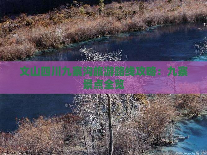 文山去四川九寨沟景点