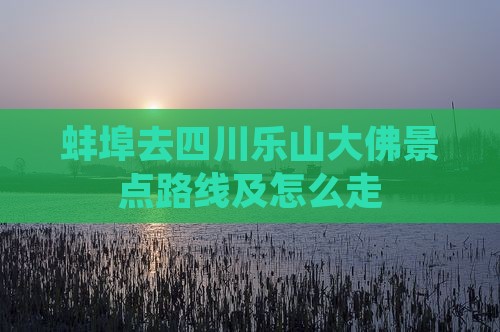 蚌埠去四川乐山大佛景点