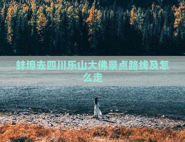 蚌埠去四川乐山大佛景点