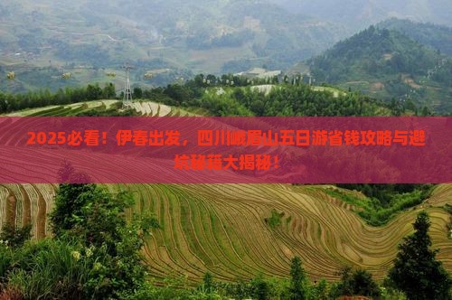 伊春去四川峨眉山五日游
