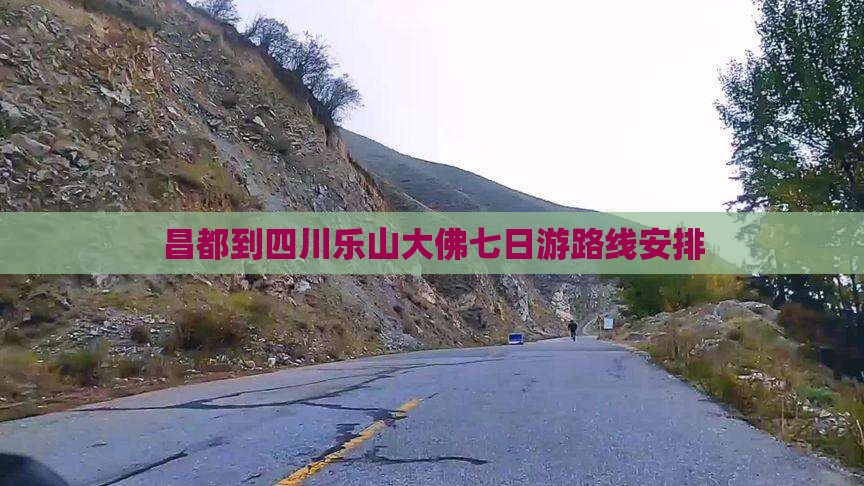 昌都到四川乐山大佛七日游