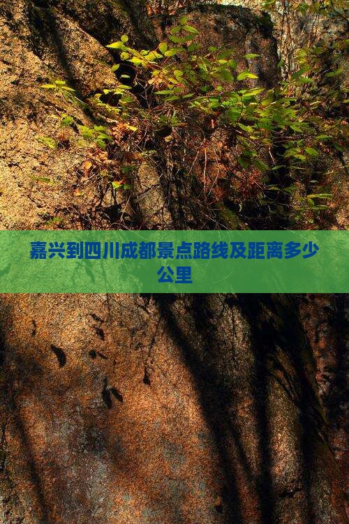 嘉兴到四川成都景点