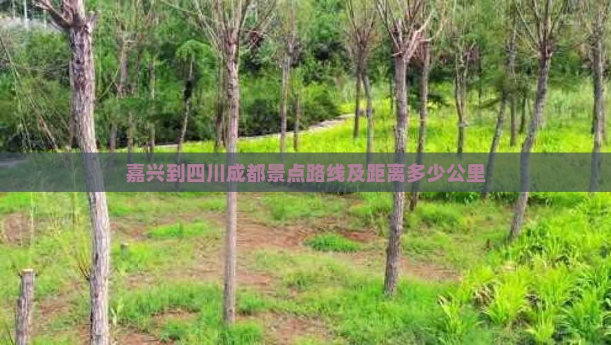 嘉兴到四川成都景点