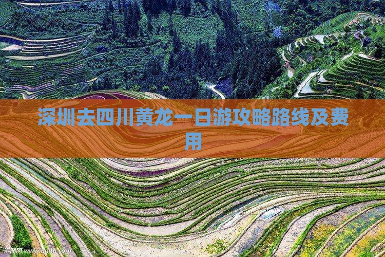 深圳去四川黄龙一日