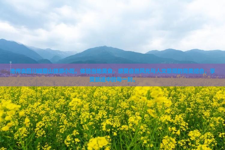 池州去四川峨眉山旅游小吃
