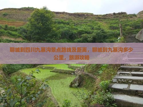 聊城到四川九寨沟景点