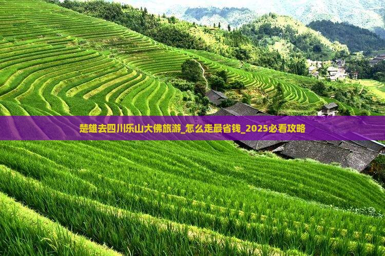 楚雄去四川乐山大佛旅游