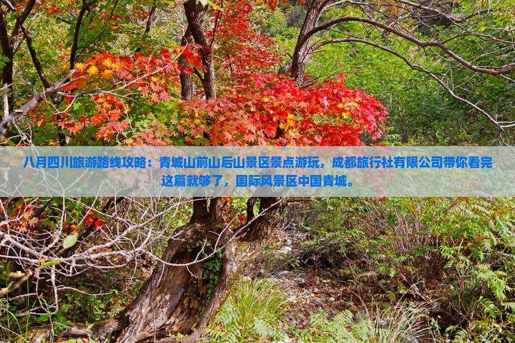 八月到四川青城山旅游