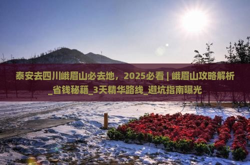 泰安去四川峨眉山必去地