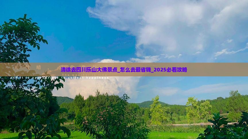 清徐去四川乐山大佛景点