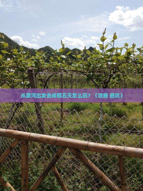 漯河到四川成都五日游