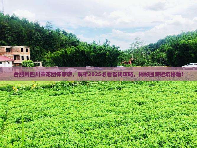合肥到四川黄龙团体旅游