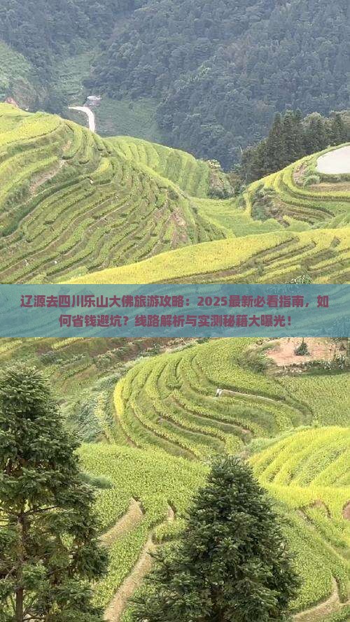 辽源去四川乐山大佛旅游
