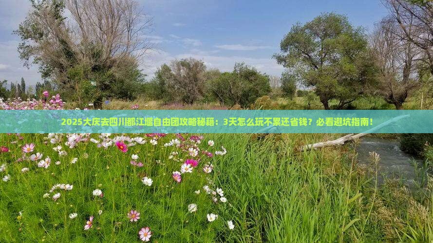 大庆去四川都江堰自由团