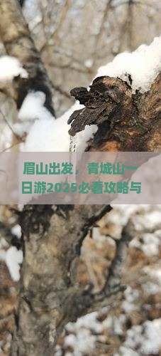 眉山到四川青城山景点