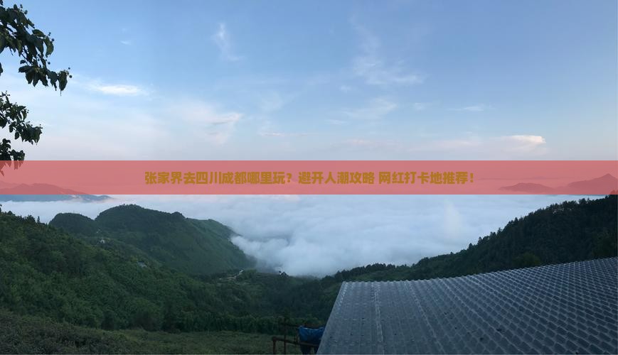张家界去四川成都哪里玩