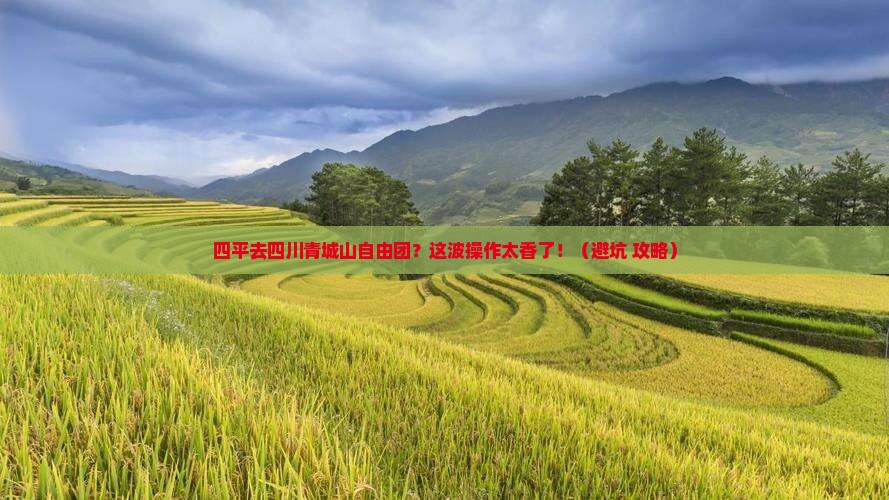 四平去四川青城山自由团