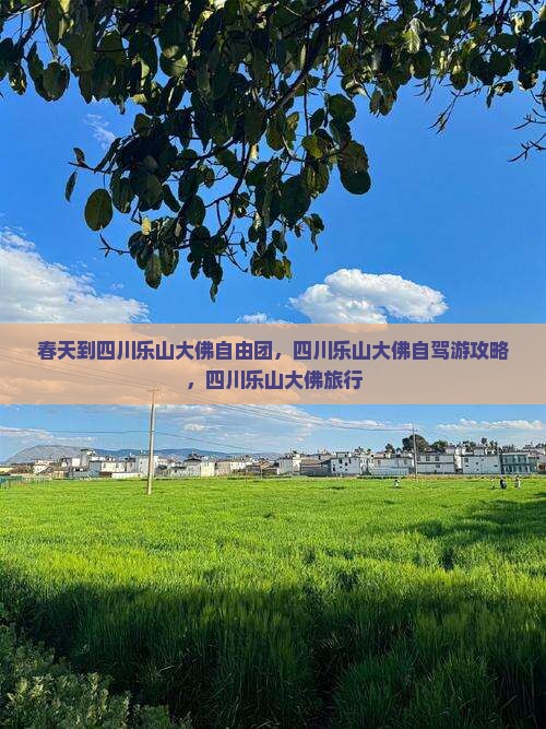 春天到四川乐山大佛自由团