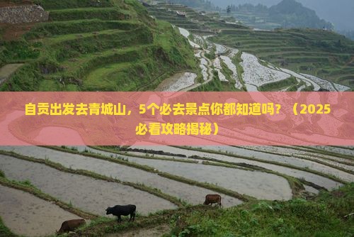 自贡去四川青城山必去地