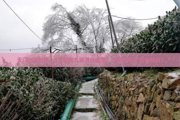 天门到四川九寨沟自由团