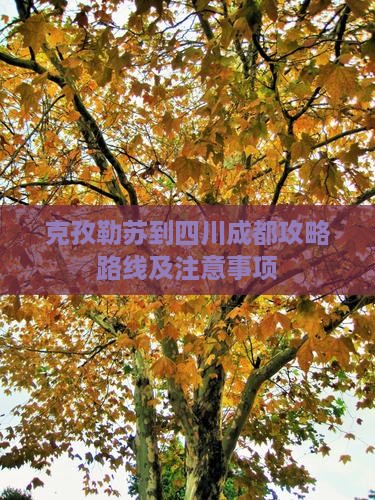 克孜勒苏到四川成都攻略
