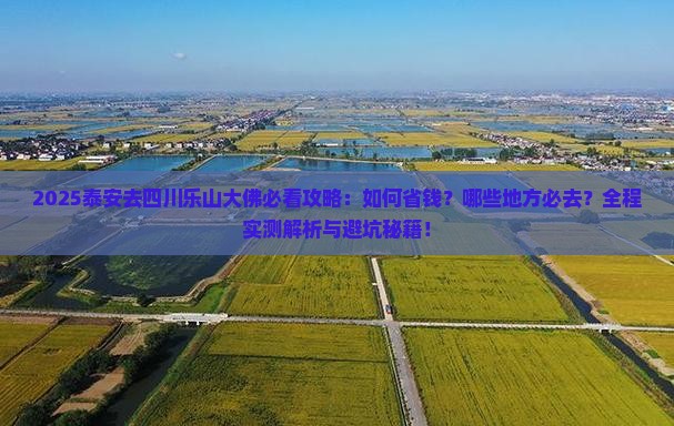 泰安去四川乐山大佛必去地