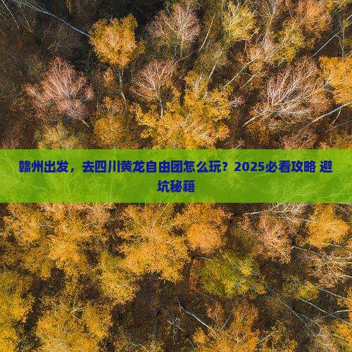 赣州到四川黄龙自由团