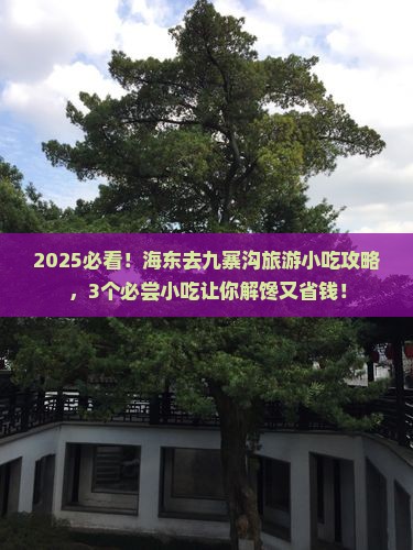 海东去四川九寨沟旅游小吃