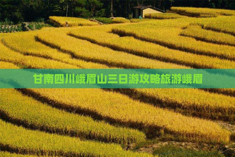 甘南去四川峨眉山三日游