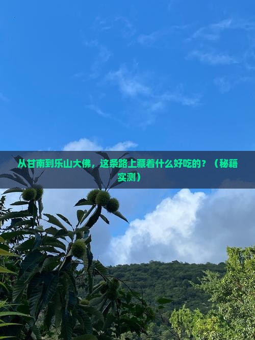 甘南去四川乐山大佛旅游小吃