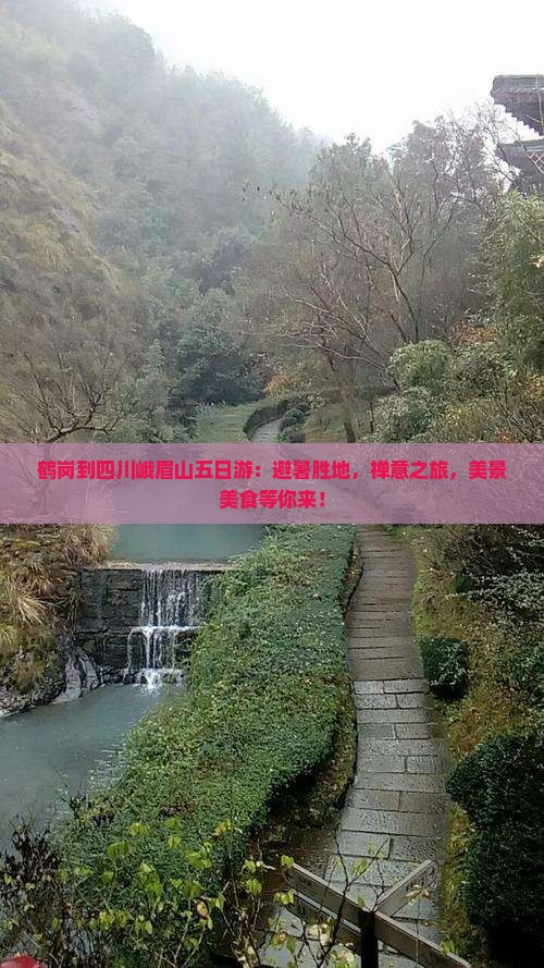 鹤岗到四川峨眉山五日游