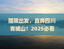 醴陵去四川青城山五日游