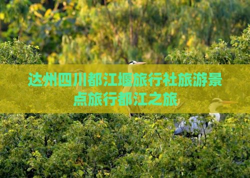 达州到四川都江堰旅行社