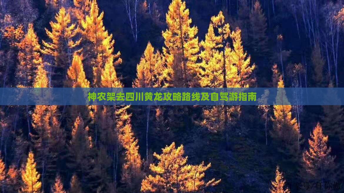 神农架去四川黄龙攻略