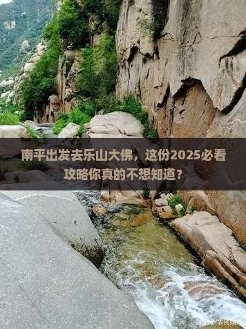 南平到四川乐山大佛个人游