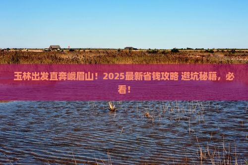 玉林去四川峨眉山旅行社