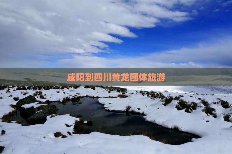 咸阳到四川黄龙团体旅游