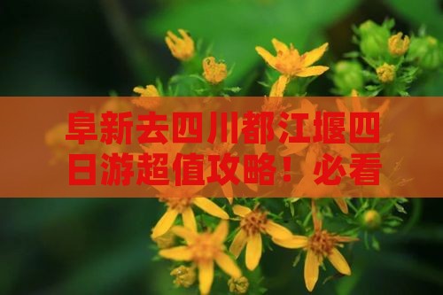 阜新去四川都江堰四日游