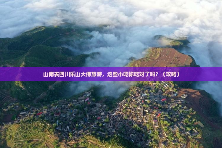 山南去四川乐山大佛旅游小吃